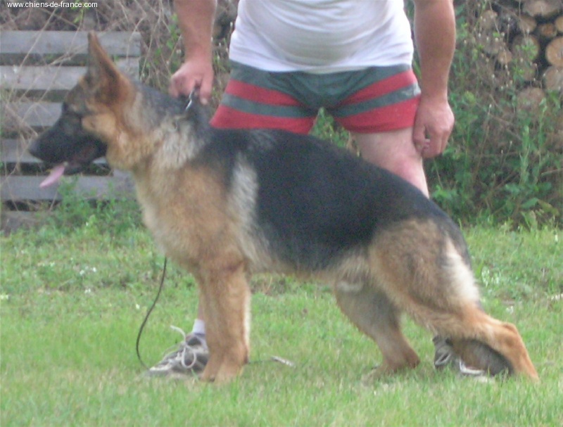 Aïko de la Drouette