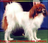 Tana�s du chemin des ollivats