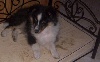 Bounty the sailor Des mille eclats des tournesol