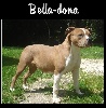 Pititon'S Kennel Bella dona