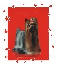 L'bambino du Puy Dor�