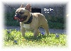 Blues boy des L�gendes Mini�res