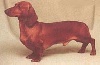 CH. Minos von bouren