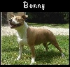 Bonny de l'exil des titans