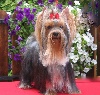 Vahia du Puy Dor�