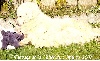 Fidji de la Vall�e du Girou