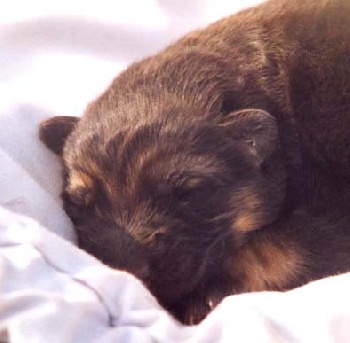 Bébé de 2 Jours