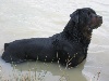 Urko des airs boh�miens