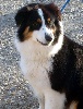 Beautiful Maoara du Mas de C�zanne