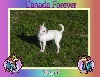 Jmd Canada forever