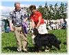 TN_chiens-Bouvier-bernois-f2354454-f41d-ac94-6d46-3769f754653f.jpg