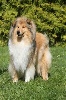 A lovely darling gold des stuarts de boisbelle