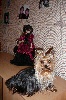 Candy du Puy Dor�