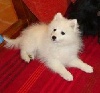 Dilou Du ray de mussy
