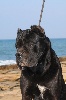 Mythos (Sans Affixe)