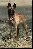 Essm�ralda Des bo julia