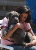 Igni et Ferro Fabiana