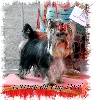 CH. Cerruty du Puy Dor�