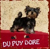 Elly du Puy Dor�