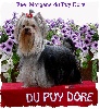 Fee morgane du Puy Dor�