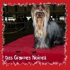 Fantasme-lovely des Grappes Noires