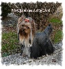 F�e-charmeuse du Puy Dor�