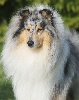 Ferreaud blue legend du Domaine de Jean-Vinc�anne