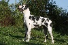 Gloria du domaine de Kalkis