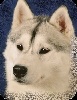 des neiges du dragon
