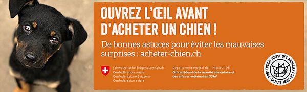 acheter-chien.ch