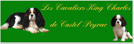 Elevage de Castel Peyrac