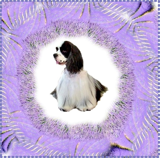 CH Confite de la Gran Aldea