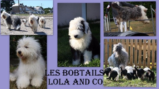 site de rencontre lola