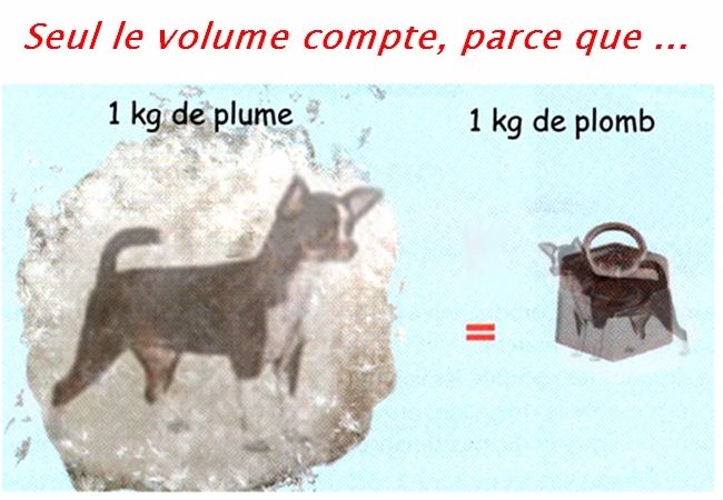1kg De Plume Et 1kg De Plomb