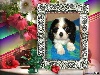 des Joyaux d'Al�sia
