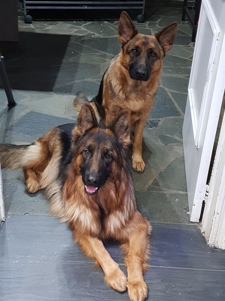 la rencontre en allemand