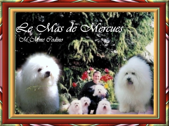 Utiliser les flèches de votre clavier pour changer d'image, cliquez et rester appuyer pour déplacer le cadre ou encore cliquer pour fermer.