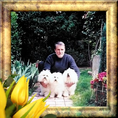 Utiliser les flèches de votre clavier pour changer d'image, cliquez et rester appuyer pour déplacer le cadre ou encore cliquer pour fermer.