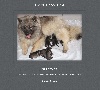 Spitz allemand