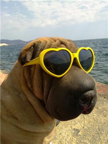 Eden ebene rencontre