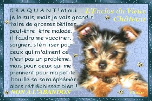 Utiliser les flèches de votre clavier pour changer d’image, cliquez et rester appuyer pour déplacer le cadre ou encore cliquer pour fermer.