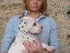 Dalmatien