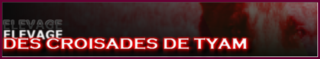 Elevage des Croisades de Tyam