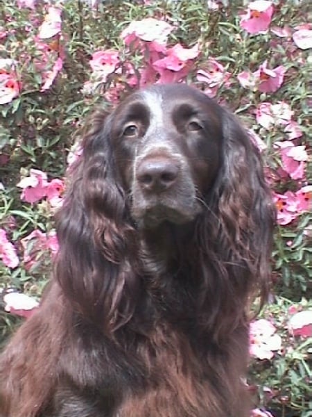 Publication : du domaine de la Grange aux Loups