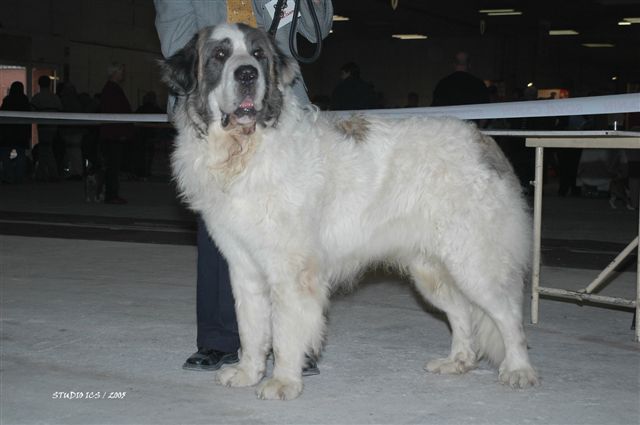 CH. Estany Can Cabot