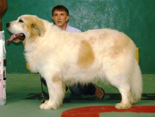 CH. Ezkabarte larresalkoak