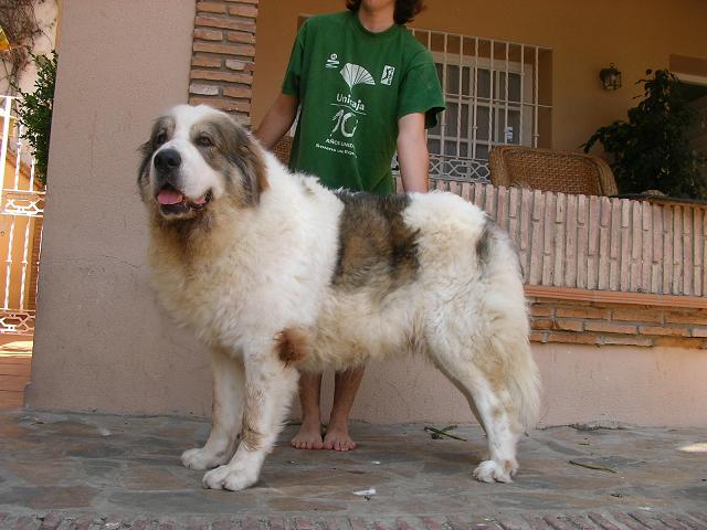 Publication : Ciudadela de Cerralba 