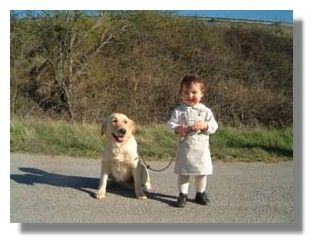 Publication : Les plaines de gyravaé 