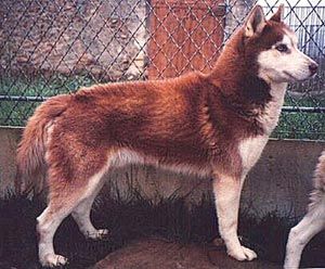 Publication : Of inivruk 