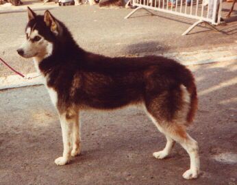 Publication : Of inivruk 